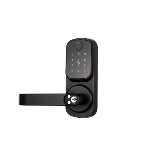 ჭკვიანი საკეტი F2309 Handle Smart Lock - 2