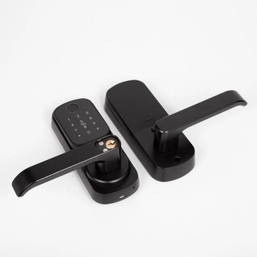 ჭკვიანი საკეტი F2309 Handle Smart Lock - 6